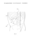 ENERGETIC MODULATION OF NERVES diagram and image