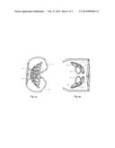 Shoulder Coil and Transmitting Coil for Magnetic Resonance System diagram and image