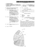 BRONCHIAL ISOLATION DEVICES FOR PLACEMENT IN SHORT LUMENS diagram and image