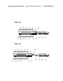 IMPLANT DELIVERY AND RELEASE SYSTEM diagram and image