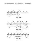 BIPOLAR SPINAL CORD STIMULATION TO ACTIVATE THE EXPIRATORY MUSCLES TO     RESTORE COUGH diagram and image