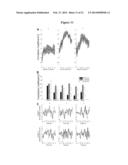 Time Domain-Based Methods for Noninvasive Brain-Machine Interfaces diagram and image