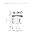 Time Domain-Based Methods for Noninvasive Brain-Machine Interfaces diagram and image