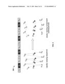 FORMAT IDENTIFICATION FOR FRAGMENTED IMAGE DATA diagram and image