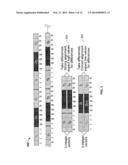 FORMAT IDENTIFICATION FOR FRAGMENTED IMAGE DATA diagram and image