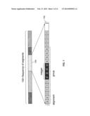 FORMAT IDENTIFICATION FOR FRAGMENTED IMAGE DATA diagram and image