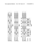 SYNCHRONIZING MULTIPLE PLAYBACK DEVICE TIMING UTILIZING DRM ENCODING diagram and image