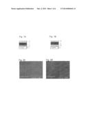 2D CRYSTALLINE FILM BASED ON ZNO INTEGRATION OF ONTO A CONDUCTIVE PLASTIC     SUBSTRATE diagram and image