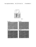 2D CRYSTALLINE FILM BASED ON ZNO INTEGRATION OF ONTO A CONDUCTIVE PLASTIC     SUBSTRATE diagram and image