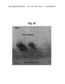 HYDROPHILIC COATINGS, METHODS FOR DEPOSITING HYDROPHILIC COATINGS AND     IMPROVED DEPOSITION TECHNOLOGY FOR THIN FILMS diagram and image