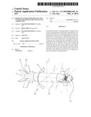 PROJECTILE WITH STEERABLE FINS AND CONTROL METHOD OF THE FINS OF SUCH A     PROJECTILE diagram and image