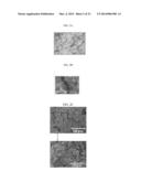 CERAMIC FILTER AND METHODS FOR MANUFACTURING AND USING SAME diagram and image