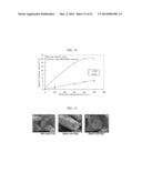 CERAMIC FILTER AND METHODS FOR MANUFACTURING AND USING SAME diagram and image