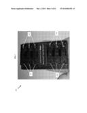 BATTERY CHARGER AND FUEL CELL diagram and image