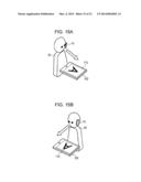 DISPLAY DEVICE diagram and image