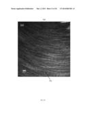 SYSTEMS AND METHODS FOR RANDOM INTENSITY ILLUMINATION MICROSCOPY diagram and image