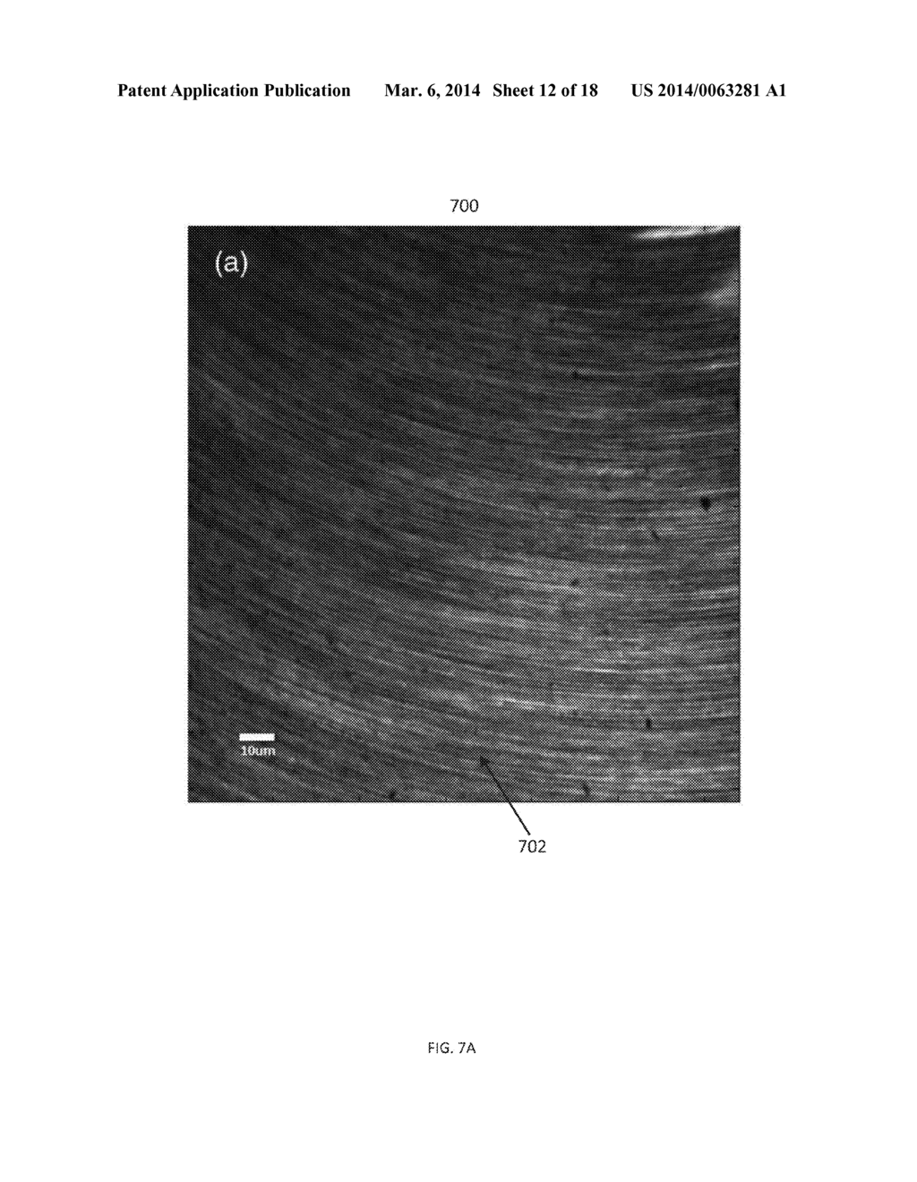 SYSTEMS AND METHODS FOR RANDOM INTENSITY ILLUMINATION MICROSCOPY - diagram, schematic, and image 13