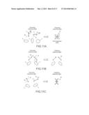 PROJECTION APPARATUS diagram and image