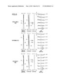 PROJECTOR ZOOM LENS AND PROJECTOR diagram and image