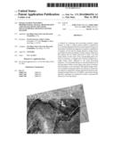 IMAGE STATION MATCHING, PREPROCESSING, SPATIAL REGISTRATION AND CHANGE     DETECTION WITH MULTI-TEMPORAL REMOTELY-SENSED IMAGERY diagram and image