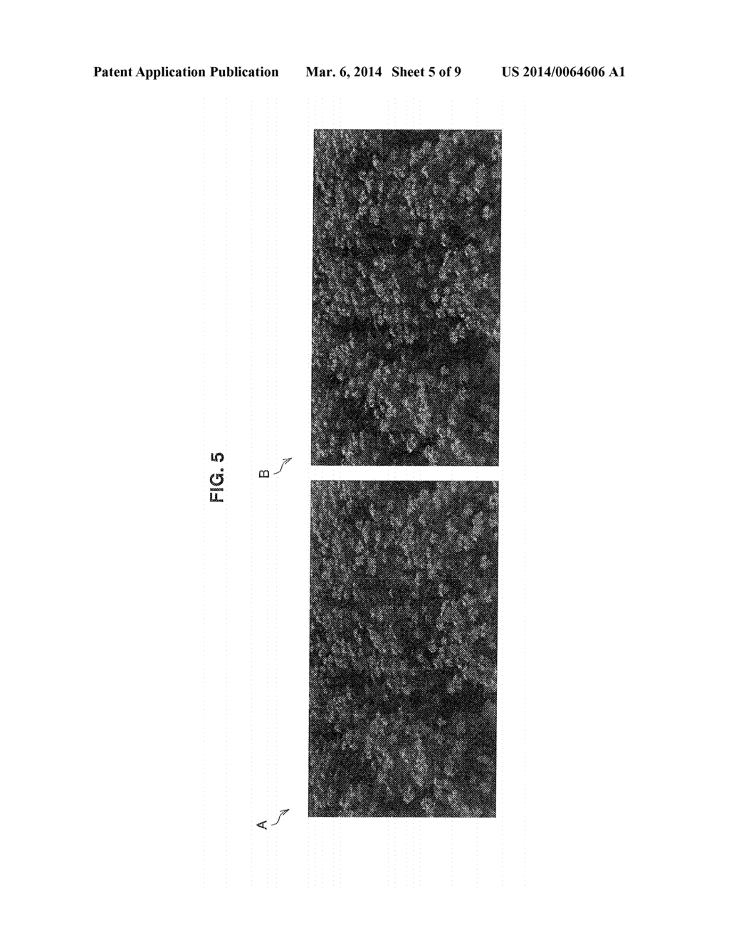 IMAGE PROCESSING APPARATUS AND IMAGE PROCESSING METHOD - diagram, schematic, and image 06