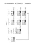 IMAGE PROCESSING APPARATUS, IMAGE PROCESSING METHOD AND RECORDING MEDIUM diagram and image