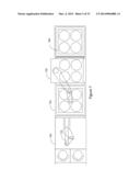 SYSTEM, ARCHITECTURE AND METHOD FOR SIMULTANEOUS TRANSFER AND PROCESS OF     SUBSTRATES diagram and image