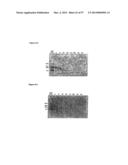 POLYMER CONJUGATES OF BOX-A OF HMGB1 AND BOX-A VARIANTS OF HMGB1 diagram and image