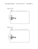 POLYMER CONJUGATES OF BOX-A OF HMGB1 AND BOX-A VARIANTS OF HMGB1 diagram and image