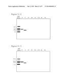 POLYMER CONJUGATES OF BOX-A OF HMGB1 AND BOX-A VARIANTS OF HMGB1 diagram and image