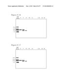 POLYMER CONJUGATES OF BOX-A OF HMGB1 AND BOX-A VARIANTS OF HMGB1 diagram and image