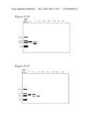 POLYMER CONJUGATES OF BOX-A OF HMGB1 AND BOX-A VARIANTS OF HMGB1 diagram and image