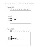 POLYMER CONJUGATES OF BOX-A OF HMGB1 AND BOX-A VARIANTS OF HMGB1 diagram and image