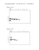 POLYMER CONJUGATES OF BOX-A OF HMGB1 AND BOX-A VARIANTS OF HMGB1 diagram and image