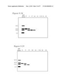 POLYMER CONJUGATES OF BOX-A OF HMGB1 AND BOX-A VARIANTS OF HMGB1 diagram and image