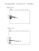 POLYMER CONJUGATES OF BOX-A OF HMGB1 AND BOX-A VARIANTS OF HMGB1 diagram and image