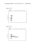 POLYMER CONJUGATES OF BOX-A OF HMGB1 AND BOX-A VARIANTS OF HMGB1 diagram and image