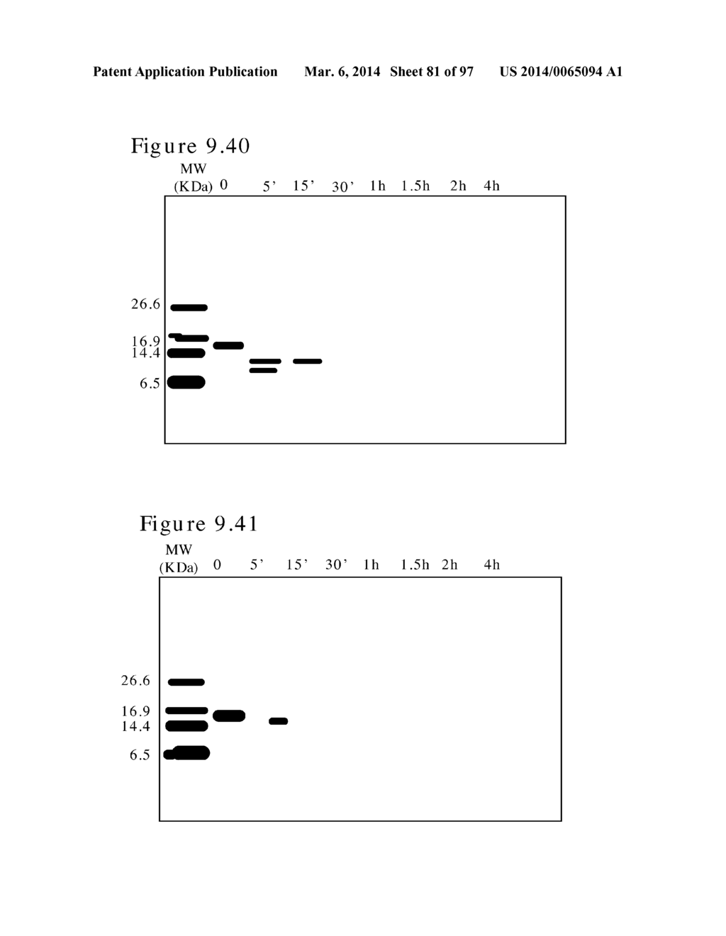 POLYMER CONJUGATES OF BOX-A OF HMGB1 AND BOX-A VARIANTS OF HMGB1 - diagram, schematic, and image 82