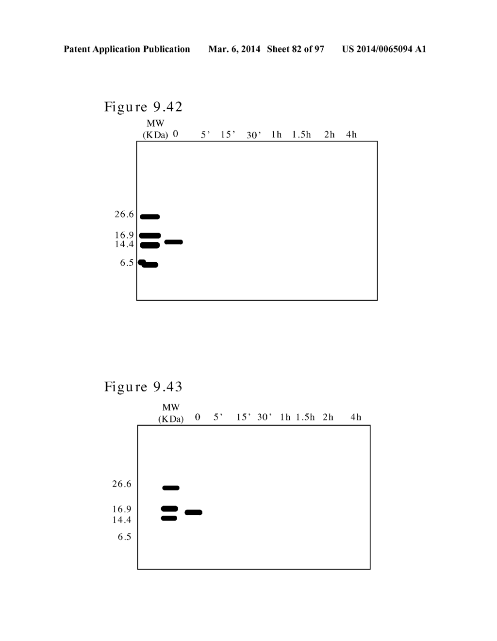 POLYMER CONJUGATES OF BOX-A OF HMGB1 AND BOX-A VARIANTS OF HMGB1 - diagram, schematic, and image 83