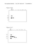 POLYMER CONJUGATES OF BOX-A OF HMGB1 AND BOX-A VARIANTS OF HMGB1 diagram and image