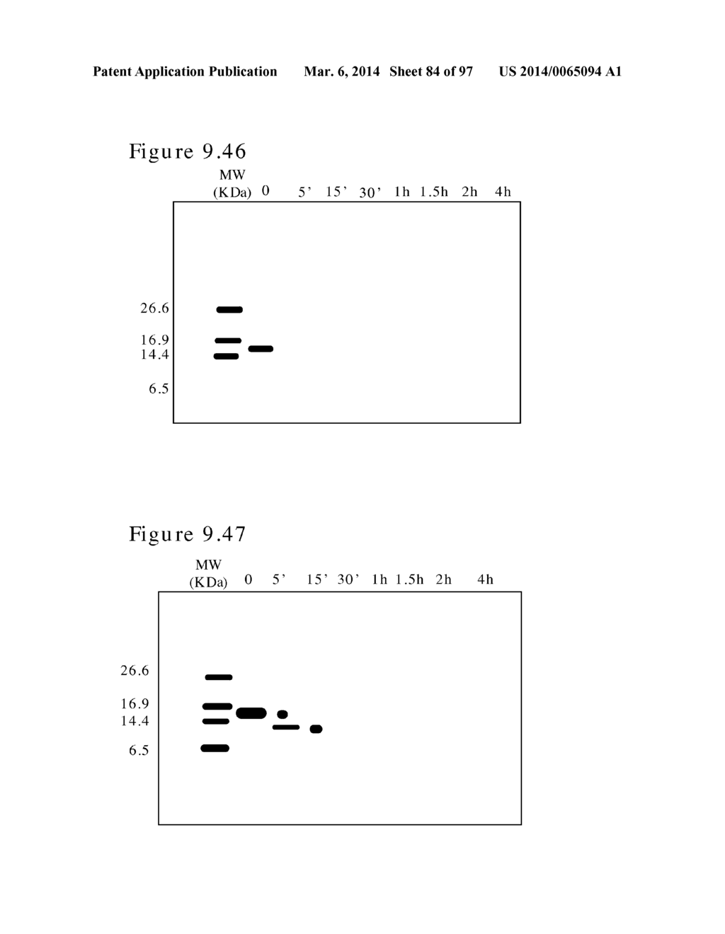 POLYMER CONJUGATES OF BOX-A OF HMGB1 AND BOX-A VARIANTS OF HMGB1 - diagram, schematic, and image 85