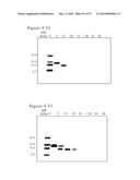 POLYMER CONJUGATES OF BOX-A OF HMGB1 AND BOX-A VARIANTS OF HMGB1 diagram and image