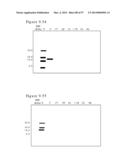 POLYMER CONJUGATES OF BOX-A OF HMGB1 AND BOX-A VARIANTS OF HMGB1 diagram and image