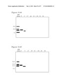 POLYMER CONJUGATES OF BOX-A OF HMGB1 AND BOX-A VARIANTS OF HMGB1 diagram and image