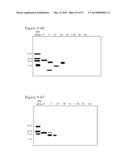 POLYMER CONJUGATES OF BOX-A OF HMGB1 AND BOX-A VARIANTS OF HMGB1 diagram and image