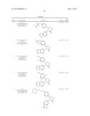 NOVEL INHIBITORS diagram and image