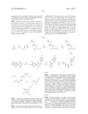 NOVEL INHIBITORS diagram and image