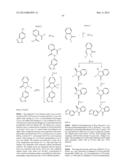 NOVEL INHIBITORS diagram and image