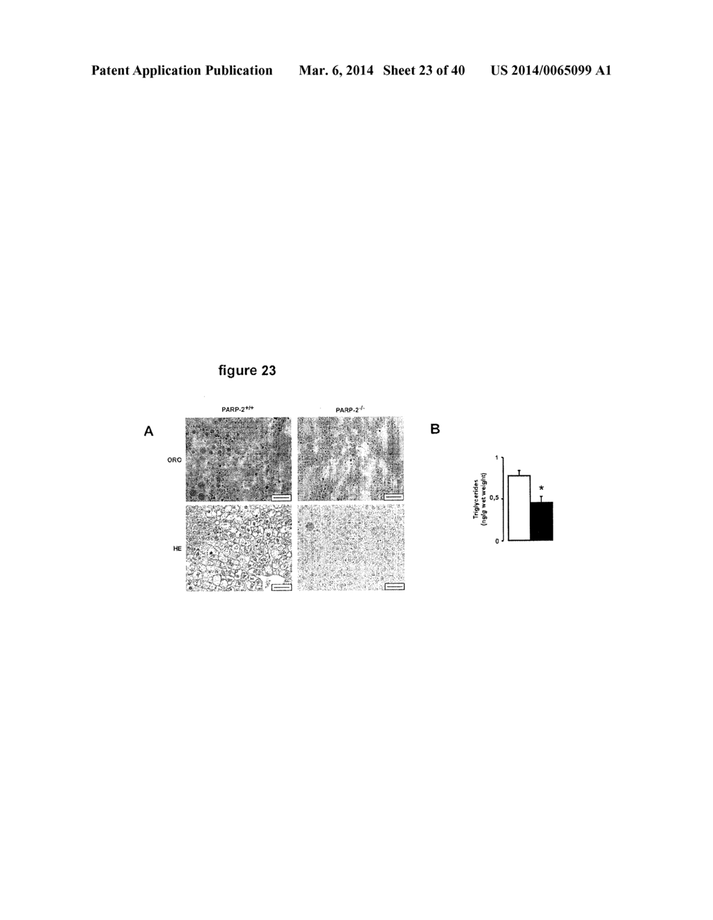 Methods of Treating Mitochondrial Dysfunction - diagram, schematic, and image 24