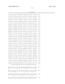 Simian Adenovirus Nucleic Acid and Amino Acid Sequences, Vectors     Containing Same, and Methods of Use diagram and image